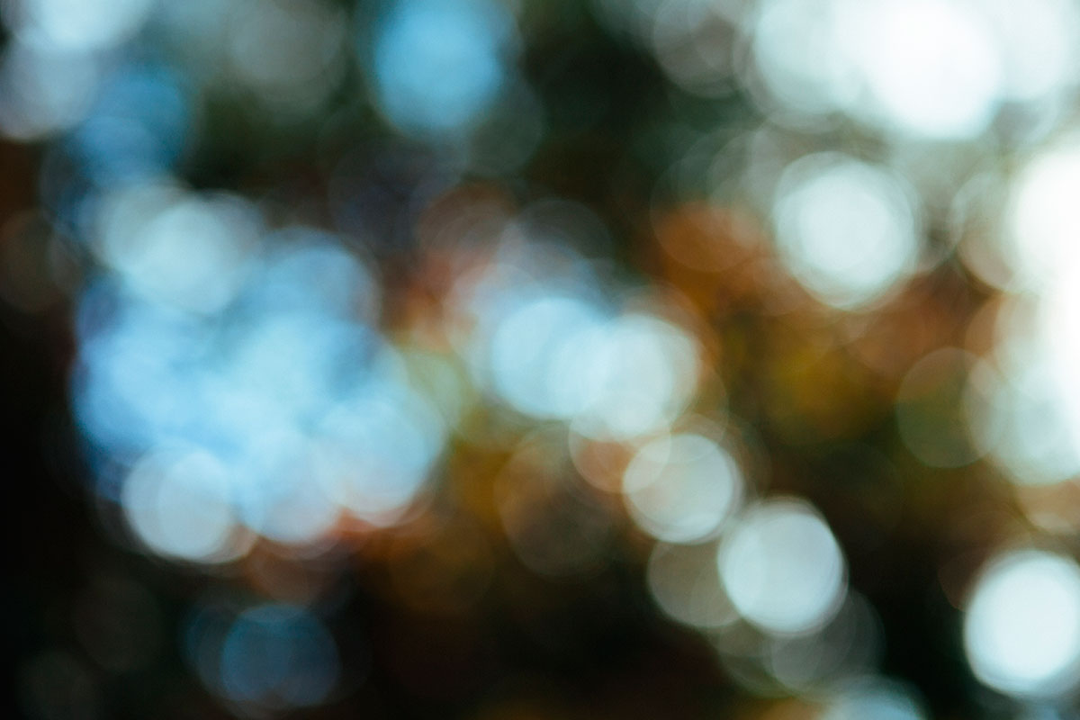image background